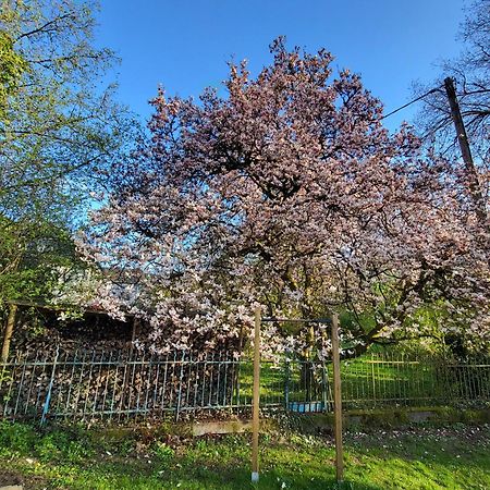 Bergischer Hof - Bergischer Hofgarten Windeck Екстериор снимка